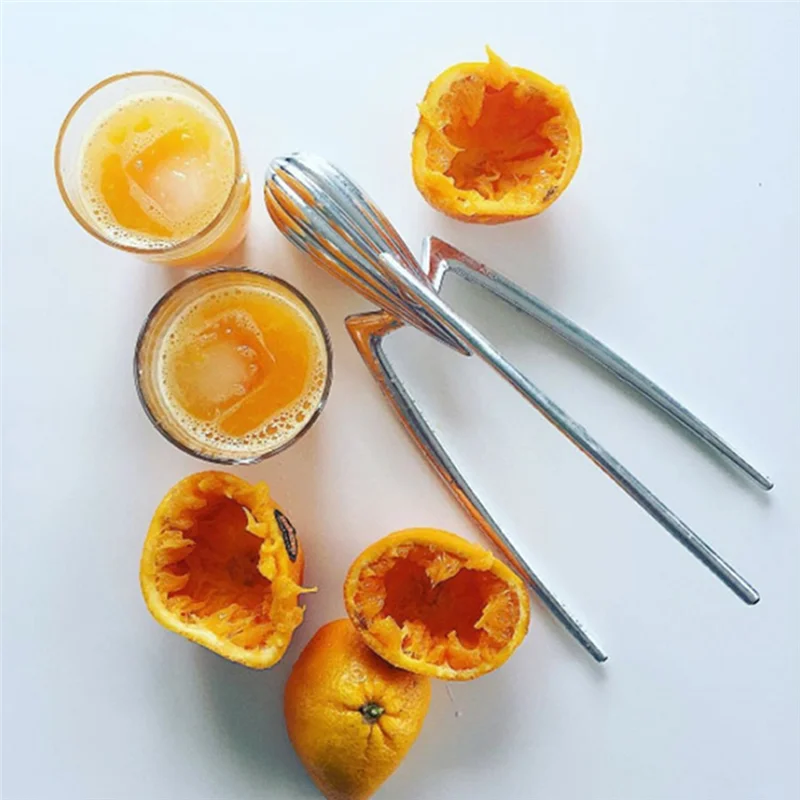 Manual Stainless Steel Citrus Juicer