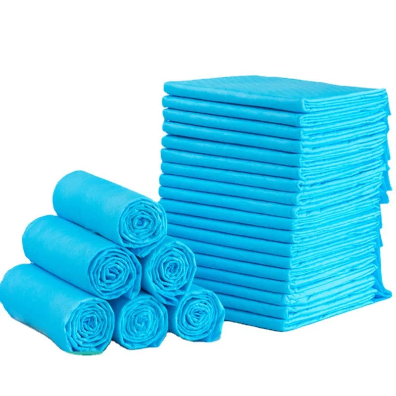 Super Absorbent Pet Training Pads – 10pcs, Various Sizes