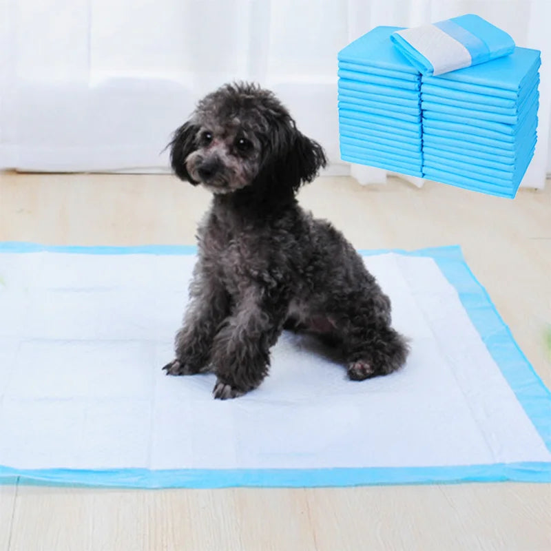 Super Absorbent Pet Training Pads – 10pcs, Various Sizes