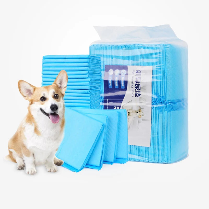 Super Absorbent Pet Training Pads – 10pcs, Various Sizes