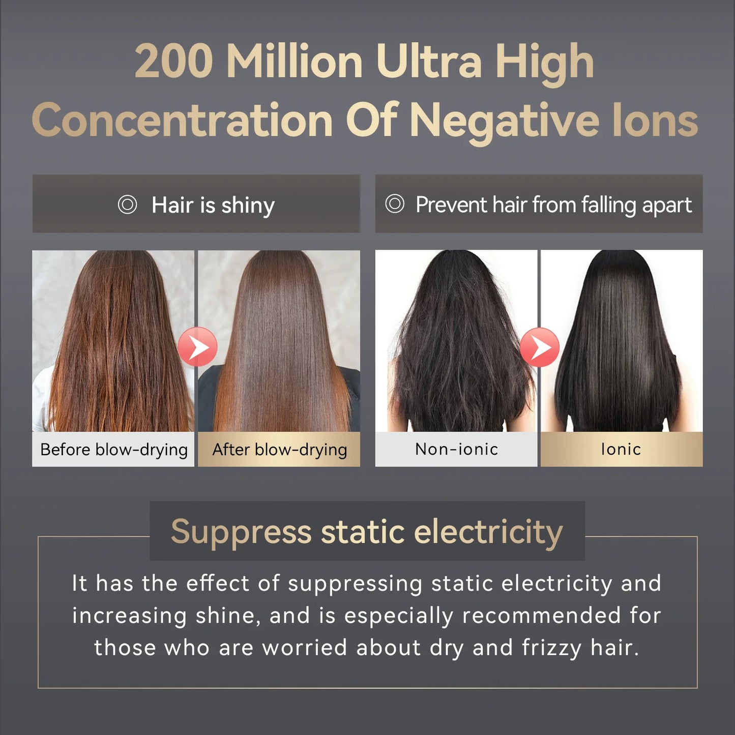 TurboIon Pro Hair Dryer
