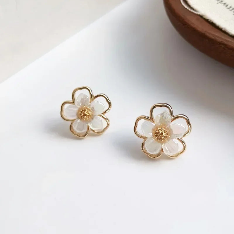 Elegant Women’s Stud Earrings – Assorted Designs with Zircon & Resin