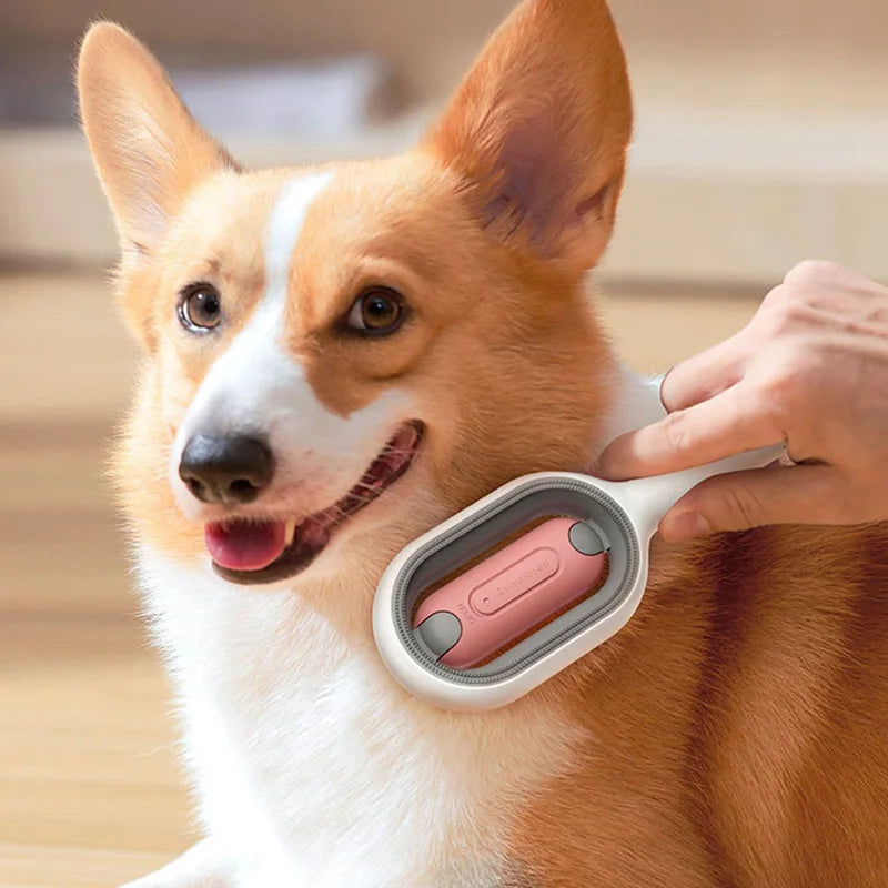 Pet Hair Removal Brush with Wipes – Easy & Efficient Cleaning for Cats & Dogs