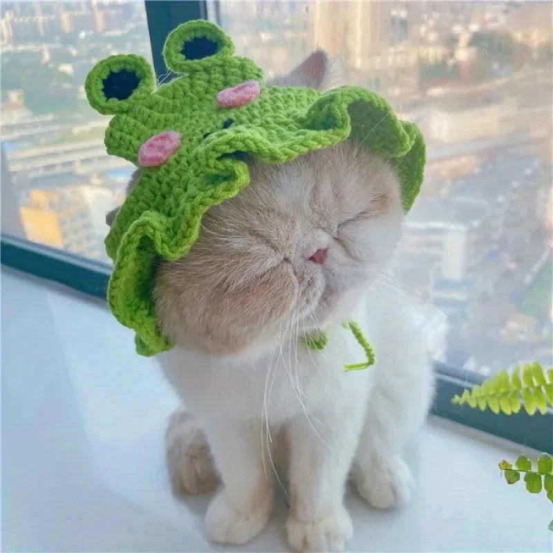 Cute Crochet Hat for Cats and Puppies