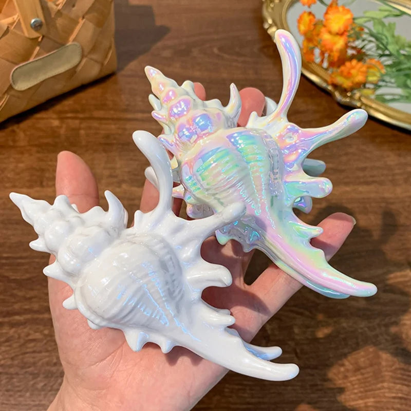 Seashell-Shaped Acrylic Hair Clip – Random Color, Trendy Summer Design