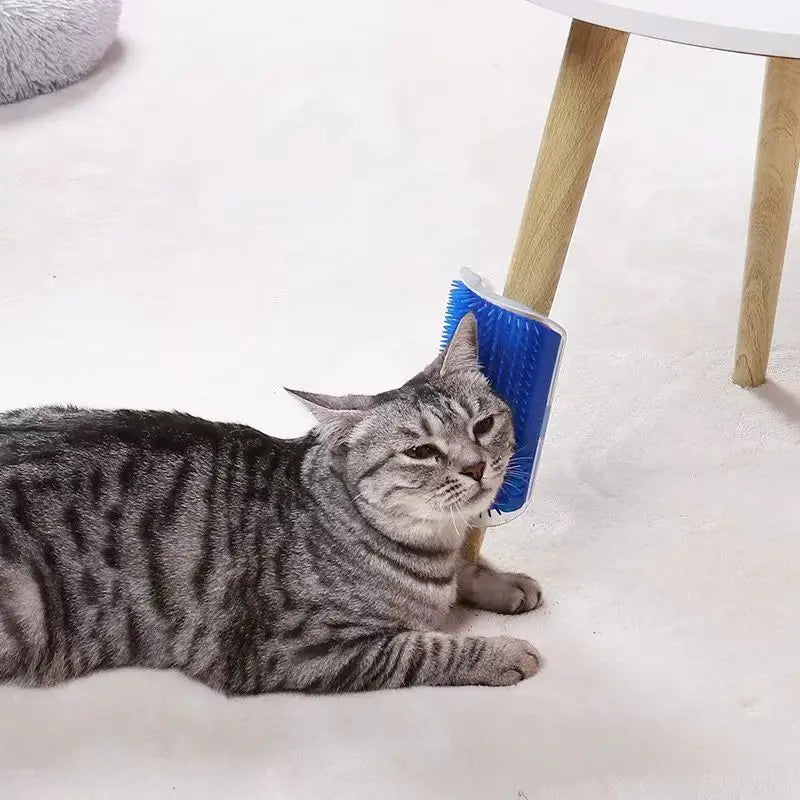 Cat Wall Brush – Self-Cleaning Grooming & Massage Tool for Cats