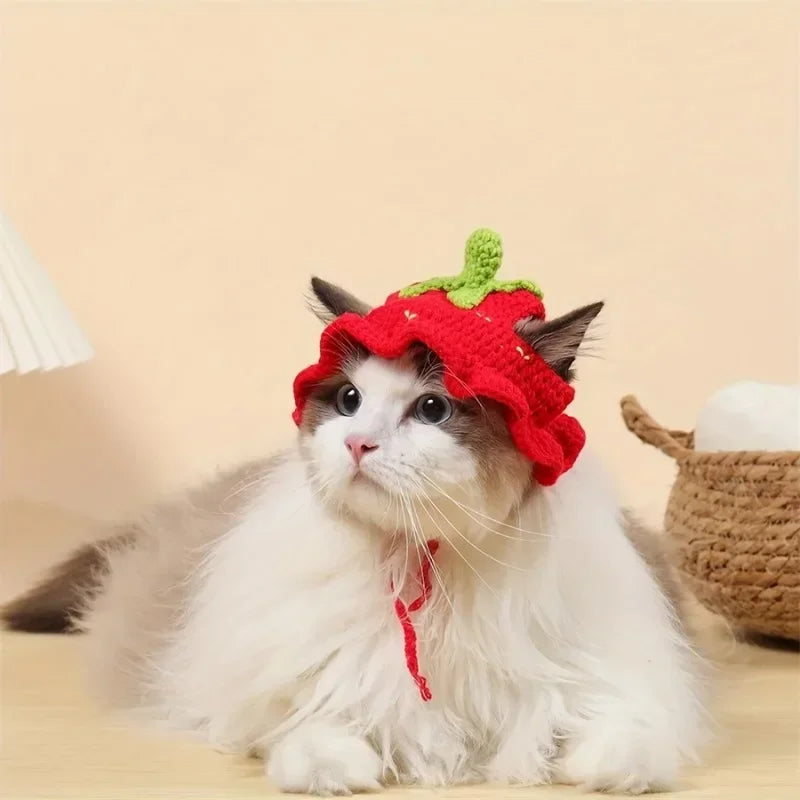 Cute Crochet Hat for Cats and Puppies